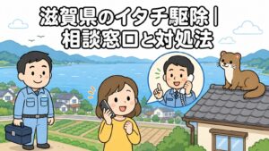大きな湖と遠くの山なみ、湖岸の住宅街と田園を背景に、スマートフォンで相談窓口に電話する住民と応対する職員、屋根の上のイタチを描いた、滋賀県のイタチ駆除の相談窓口と対処法を表すいらすとや風イラスト