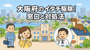 川と橋のある街並みを背景に、市役所へ電話で相談する黄色い服の住民と受話器を持って応対する職員、住宅の屋根に座るイタチ、工具箱を持つ水色の作業服の作業員を描いた、大阪府のイタチ駆除の窓口と対処法を表すいらすとや風イラスト