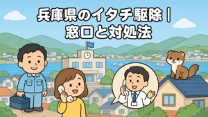 兵庫県のイタチ駆除の窓口と対処法を紹介するメインイラスト。山と海が近い兵庫の街並みを背景に、市役所へ電話で相談する住民の女性と笑顔で応対する職員、屋根の上にちょこんと座るかわいいイタチ、工具箱を持った作業員の男性が描かれている。