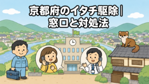盆地を囲む山並みと川、低層の町並みを背景に、市役所へ電話で相談する黄色い服の住民と受話器を持って応対する職員、瓦屋根に座るイタチ、工具箱を持つ水色の作業服の作業員を描いた、京都府のイタチ駆除の窓口と対処法を表すいらすとや風イラスト