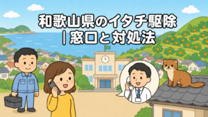 海と入り組んだ海岸線、みかん畑の丘と住宅地を背景に、スマートフォンで市役所へ相談する黄色い服の住民と受話器を持って応対する職員、瓦屋根に座るイタチ、工具箱を持つ水色の作業服の作業員を描いた、和歌山県のイタチ駆除の窓口と対処法を表すいらすとや風イラスト