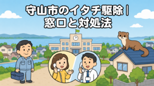 琵琶湖の湖岸と平坦な住宅地を背景に、市役所へ電話で相談する黄色い服の住民と受話器を持って応対する職員、屋根に座るイタチ、工具箱を持つ水色の作業服の作業員を描いた、守山市のイタチ駆除の窓口と対処法を表すいらすとや風イラスト