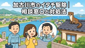 加古川市のイタチ駆除の相談窓口と対処法を表すいらすとや風のメインアイキャッチ。市の中央を流れる大きな川と橋、川沿いの住宅街と海を背景に、スマートフォンで相談する女性と工具箱を持つ作業員、電話で応対する職員の吹き出し、瓦屋根の上のイタチを描いている