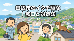 海沿いの市街地と背後に続く緑の山なみを背景に、時計と旗のある田辺市役所と電話で相談する住民女性、受話器を持って応対する市職員、屋根の上に座るイタチ、工具箱を持つ作業服の男性を描いたいらすとや風イラスト