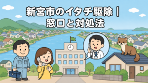 川が市街地を抜けて海へ流れる風景と川沿いの家並みを背景に、時計と旗のある新宮市役所、電話で相談する住民女性と受話器を持って応対する市職員、屋根に座るイタチ、工具箱を持つ作業員を配したいらすとや風イラスト