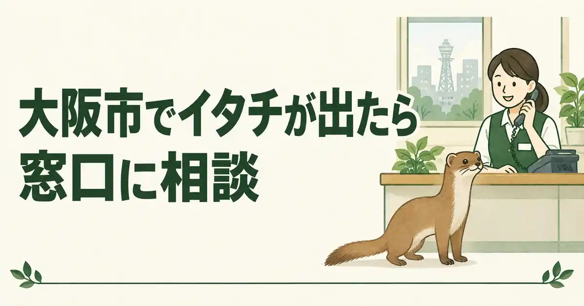 大阪市でイタチが出たら窓口に相談