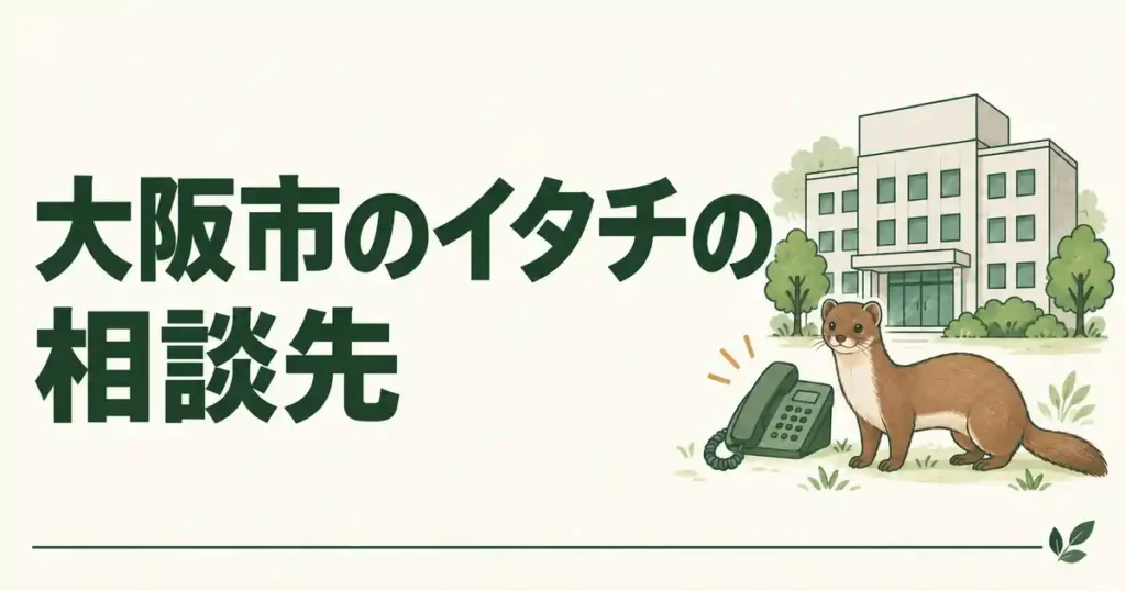 大阪市のイタチの相談先
