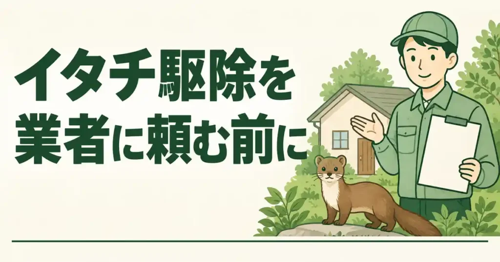 イタチ駆除を業者に頼む前に