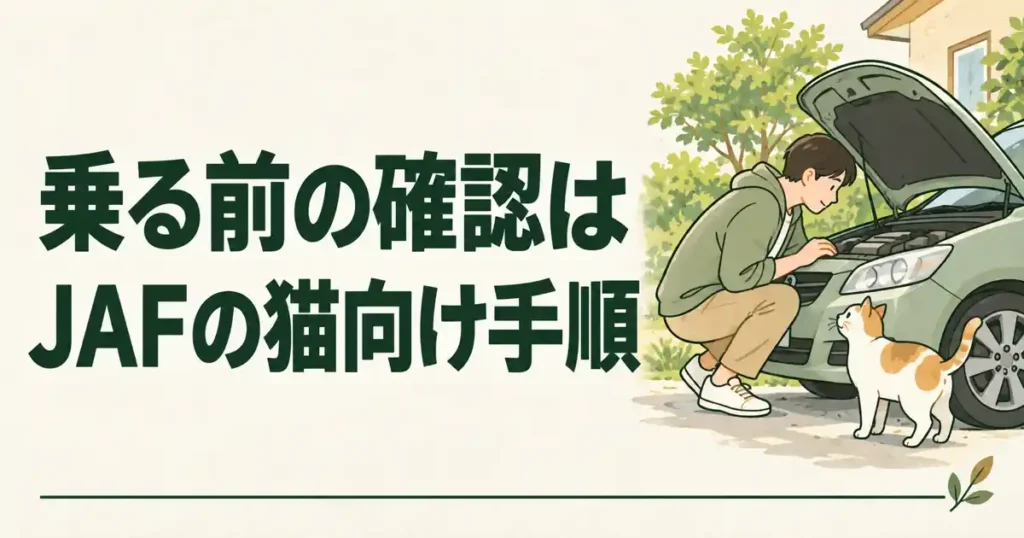 乗る前の確認はJAFの猫向け手順