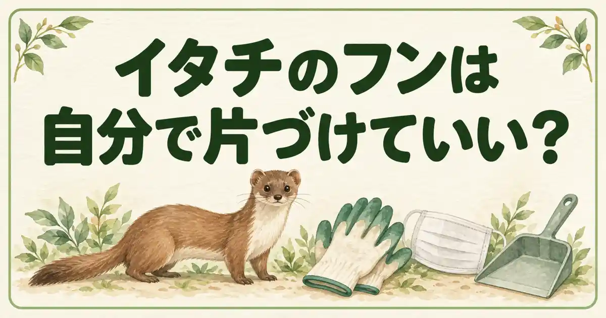 イタチのフンは自分で片づけていい？