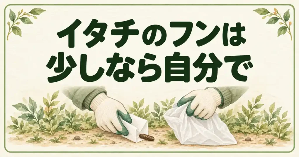 イタチのフンは少しなら自分で