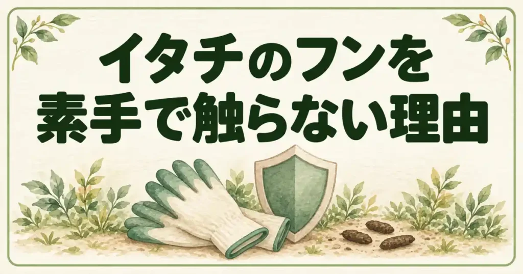 イタチのフンを素手で触らない理由