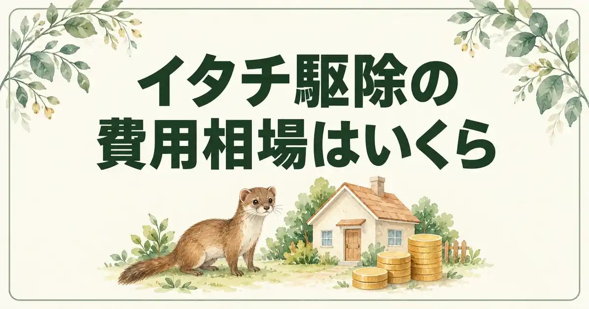 イタチ駆除の費用相場はいくら