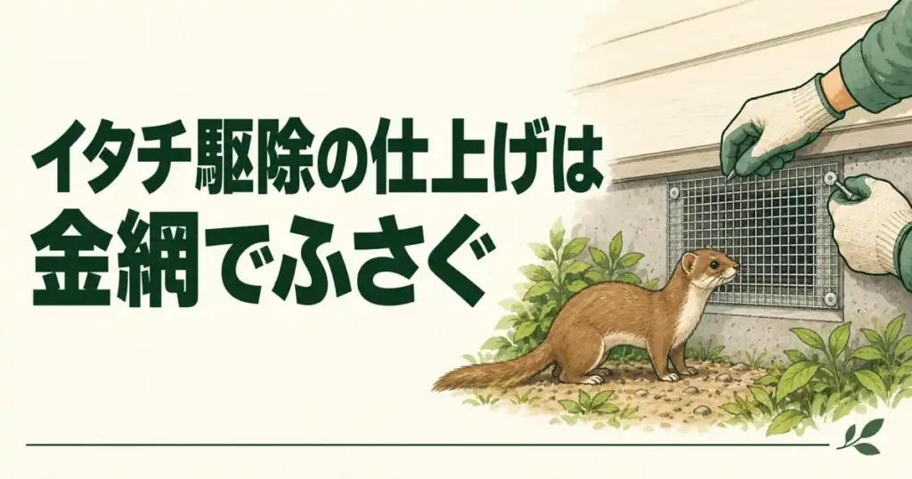 イタチ駆除の仕上げは金網でふさぐ