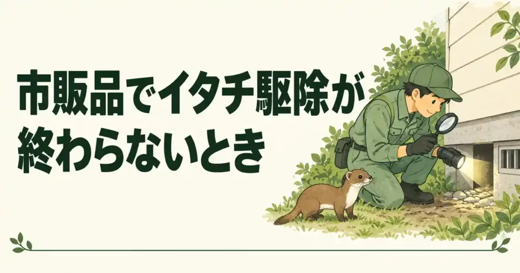 市販品でイタチ駆除が終わらないとき