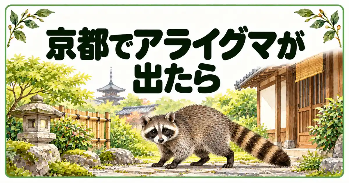 京都でアライグマが出たら