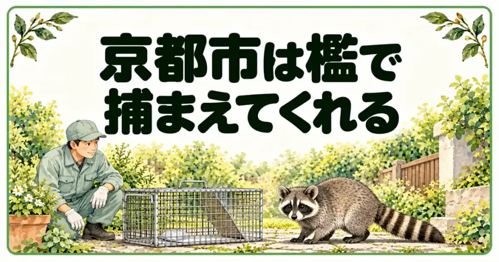 京都市は檻で捕まえてくれる