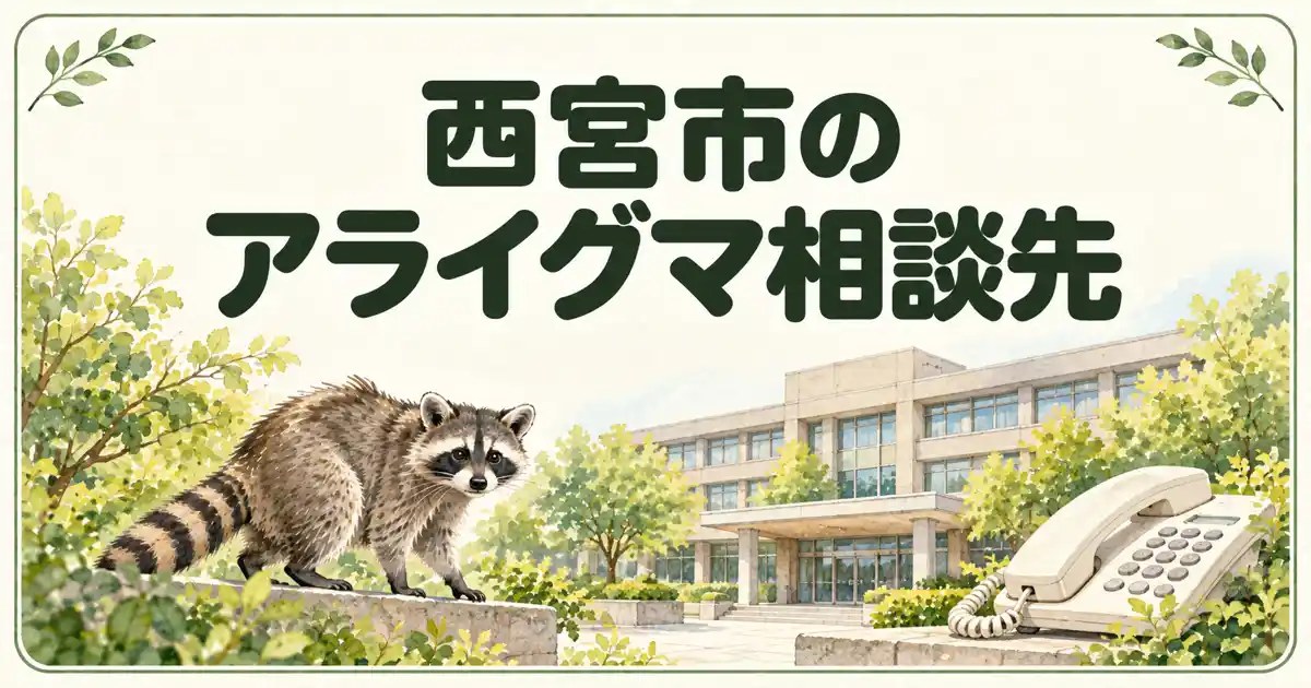 西宮市のアライグマ相談先