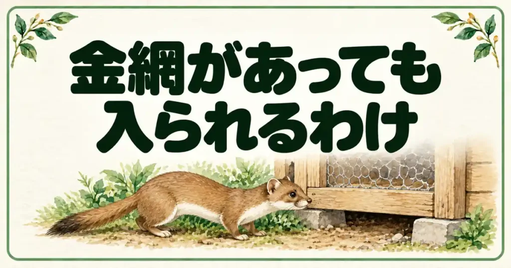 金網があっても入られるわけ