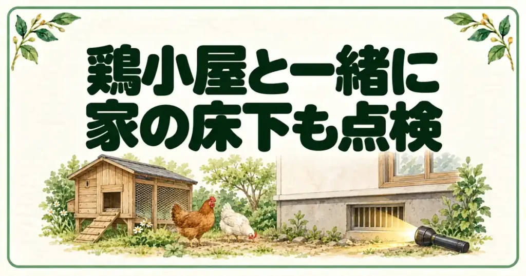 鶏小屋と一緒に家の床下も点検
